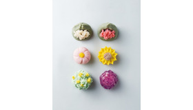 7月8日の和菓子教室では、夏に涼しさを誘う「練り切り ひまわり＆金魚鉢」と「ところてん」作りを体験する。