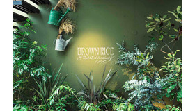 日本クラフトビール「東京ブロンド」を樽生で味わえるビアガーデン／表参道の「ニールズヤード グリーンスクエア」