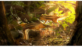 『小さな世界はワンダーランド』　(C)BBC 2014