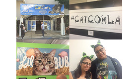 キャット・コンLA