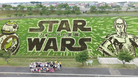 『スター・ウォーズ／フォースの覚醒』田んぼアート見ごろ宣言式