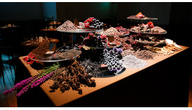 「Taste of LUNASOL」