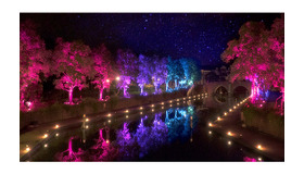 チームラボの「Digitized City Art」プロジェクト＆「Digitized Nature Art」プロジェクト指導