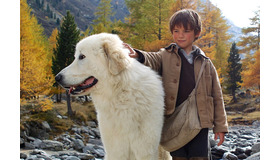 『ベル＆セバスチャン』(c)2013 RADAR FILMS EPITHETE FILMS GAUMONT M6 FILMS ROHNE-ALPES CINEMA