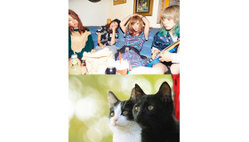 「SCANDAL」×『猫なんかよんでもこない。』