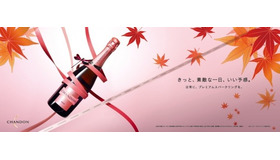 CHANDON もみじ プロモーション