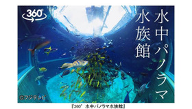 360度動画「水中パノラマ水族館」