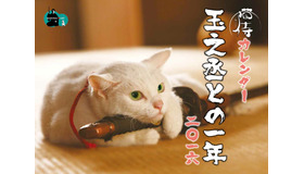 「猫侍カレンダー　玉之丞との一年二〇一六」　(C)2015「続・猫侍」製作委員会