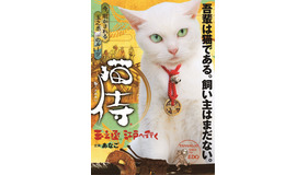 スペシャルドラマ「猫侍 玉之丞、江戸へ行く」(C)2016「猫侍SP」製作委員会　