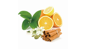 ニホンドウ漢方ミュージアムで、2016年2月19日（金）・20日（土）の2日間限定、冬の漢方ビューティーイベント開催