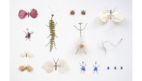 井上織衣による個展「現象 フェノメンヌ（PHENOMENES）」が開催