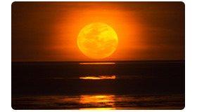 月への階段　キャメルライド