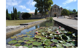 シトー会の3姉妹