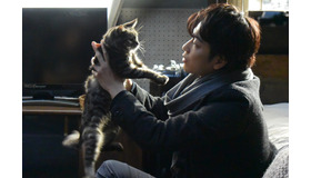 『世界から猫が消えたなら』(C)2016 映画『世界から猫が消えたなら』製作委員会