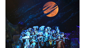 ミュージカル作品「キャッツ」-(C)Getty Images