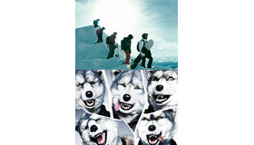 『X-ミッション』(c) 2015 Warner Bros. Ent. (c)Alcon Entertainment, LLC. All Rights Reserved.　