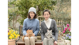 連続ドラマＷ「グーグーだって猫である２ -good good the fortune cat-」（C）WOWOW