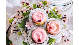 マグノリアベーカリーが春限定の「サクラカップケーキ」を発売