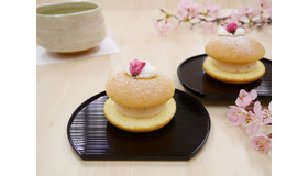 生ブッセ専門店「anovan（アノヴァン）」　春の限定フレーバー「さくら」