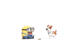 『ペット』×『ミニオンズ』　(C)Universal Studios.