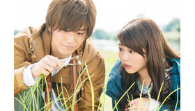 『植物図鑑　運命の恋、ひろいました』　（C）2016「植物図鑑」製作委員会