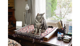 連続ドラマＷ「グーグーだって猫である２ -good good the fortune cat-」ポスター（C）WOWOW