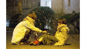 ひざポン／『植物図鑑 運命の恋、ひろいました』（C）2016「植物図鑑」製作委員会