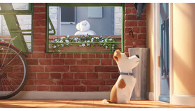 『ペット』(C)Universal Studios.