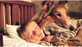 『名犬ラッシー (2005)』　メイン