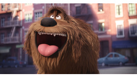 『ペット』(C)Universal Studios.