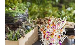 箱根・仙石原「アルベルゴバンブー」で、丸一日オペラを楽しむ20周年記念イベント開催