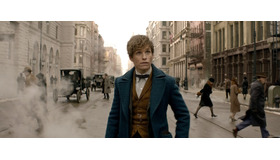 『ファンタスティック・ビーストと魔法使いの旅』（C）2015 WARNER BROS ENTERTAINMENT INC. ALL RIGHTS RESERVED