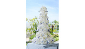 「ガトー・アン」