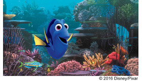 『ファインディング・ドリー』　(C) 2016 Disney／Pixar