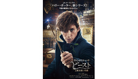 『ファンタスティック・ビーストと魔法使いの旅』（C）2015 WARNER BROS ENTERTAINMENT INC. ALL RIGHTS RESERVED