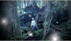 『蟲師』　メイン