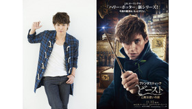 宮野真守　『ファンタスティック・ビーストと魔法使いの旅』(C) 2016 Warner Bros. Ent.  All Rights Reserved.Harry Potter and Fantastic Beasts Publishing Rights (C) JKR.