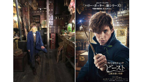 ざわちんがニュートに!?『ファンタスティック・ビーストと魔法使いの旅』　(C) 2016 Warner Bros. Ent.  All Rights Reserved.Harry Potter and Fantastic Beasts Publishing Rights (C) JKR.