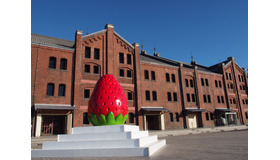 「ヨコハマストロベリーフェスティバル 2017」開催