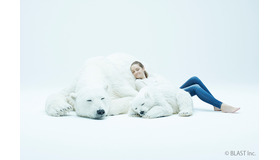 「Animals As Art」ポーラーベア《 シロクマ 》親子