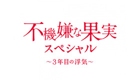 「不機嫌な果実スペシャル～3年目の浮気～」