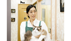 『ねこあつめの家』(C)2017　Hit-Point／『映画ねこあつめ』製作委員会