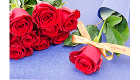 「ウィッシングローズ」（￥700）