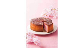 「WA・BI・SA」春季限定商品「焦がしざらめ カステラ さくら」2月20日（月）発売