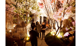 アンダーズ東京52F「ルーフ トップバー」で「さくら ガーデン」開催！