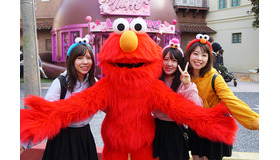 役割分担(セサミストリート)