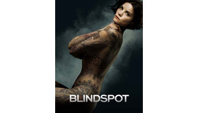 「ブラインドスポット＜ファースト・シーズン＞」　（C）2017 Warner Bros. Entertainment Inc. All rights reserved.