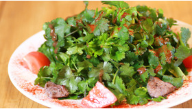 パクチーをもりもり食べるスペインバル・代々木上原「シラントロ」へのアクセス、メニューまとめ