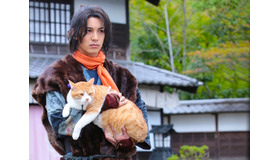 『猫忍』　(C)2017「猫忍」製作委員会