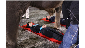 「さんまの転職DE天職6」